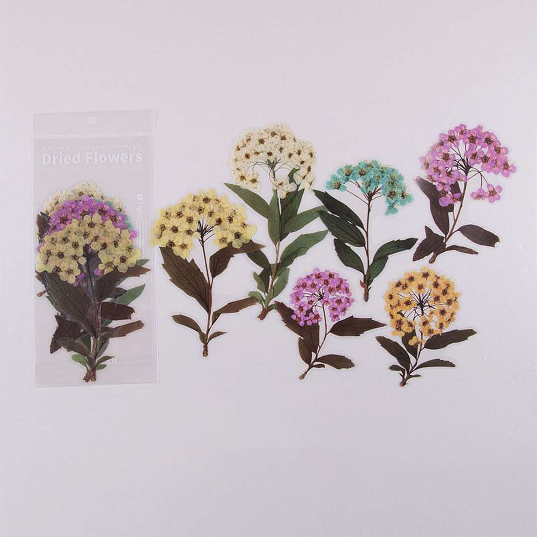 Stickers de flores estilo flores secas Modelo 1